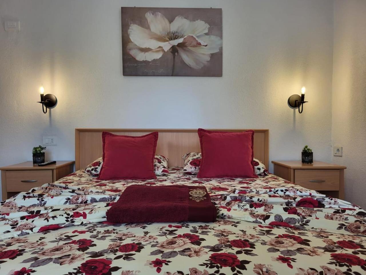 Apartments Ardoni 乌尔齐尼 外观 照片